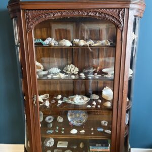 Wood display cabinet with curved glass sides, carved top detail, and glass door.